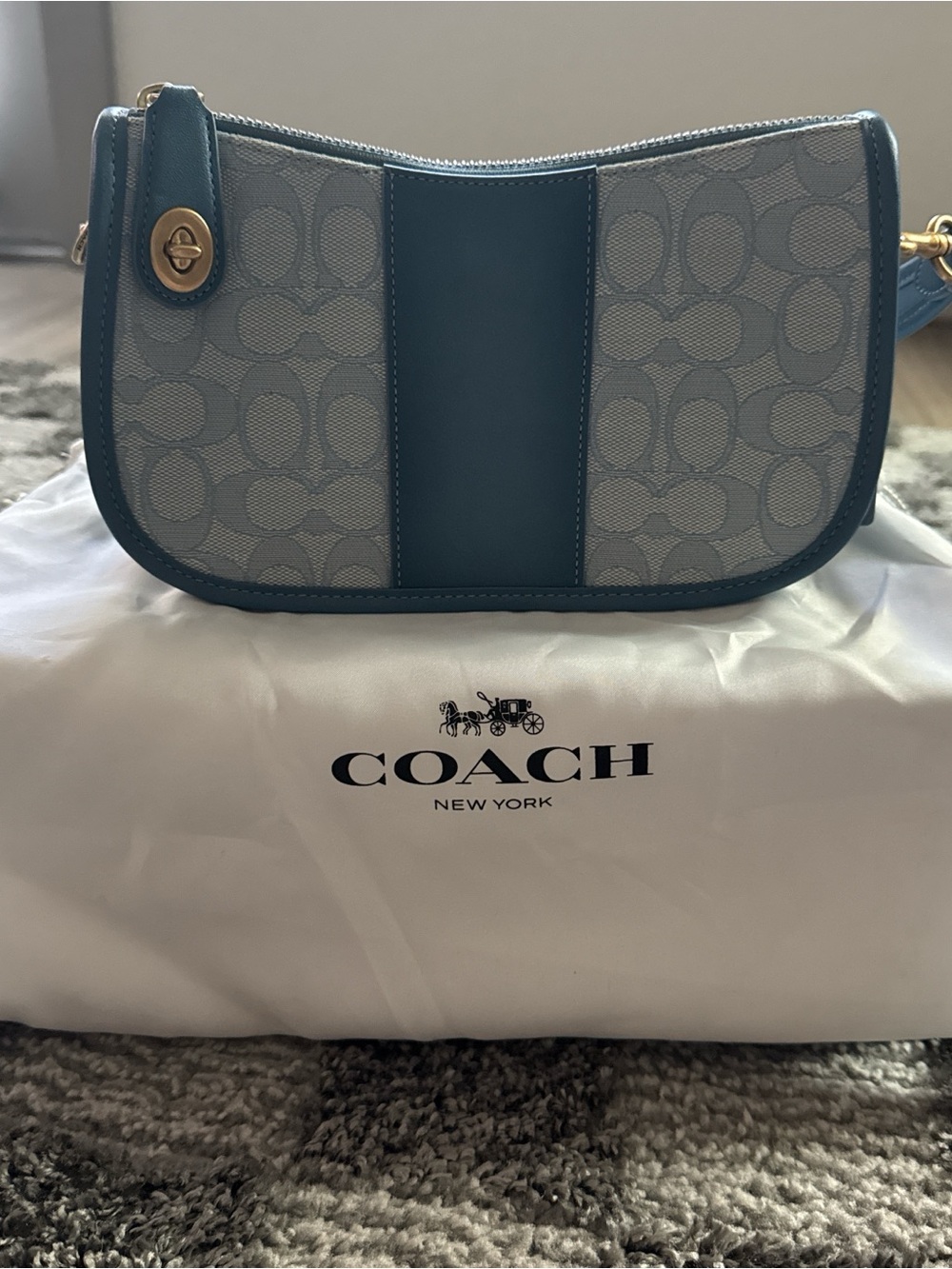 Coach Signature Shoulder Bag in Pale Blue and Teal Trim